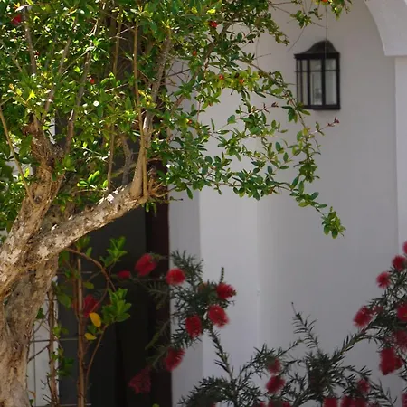 Los Arcos *